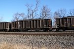 NS 10006